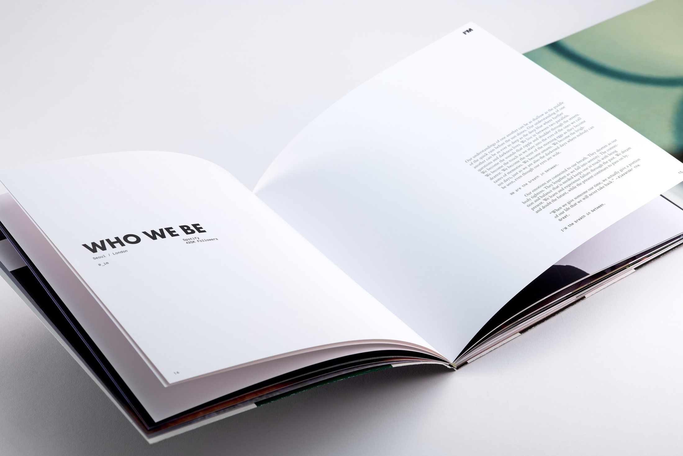 I'M brand book